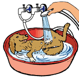 push-on_tap_shower_image_3