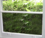 Mirror_4d8ad22e137db.jpg